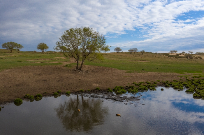 DJI_0689