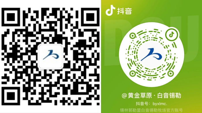 微信抖音二维码