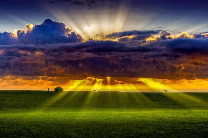 258《夕阳牧歌》36（闫云+19804798878）