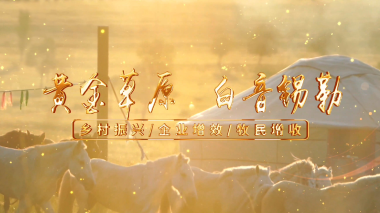 黄金草原白音锡勒