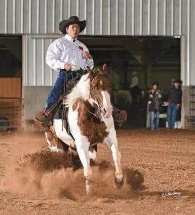 马友眼里的黄金草原