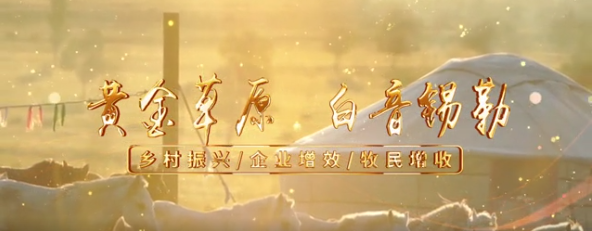 黄金草原白音锡勒