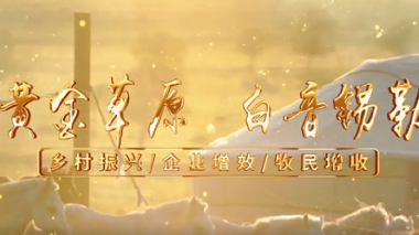 黄金草原白音锡勒