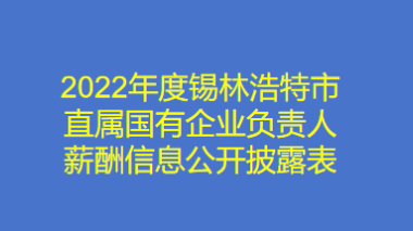 2022年度锡林浩特市直属国有企业负责人薪酬信息公开披露表