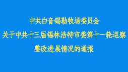中共白音锡勒牧场委员会关于中共十三届锡林浩特市委第十一轮巡察整改进展情况的通报