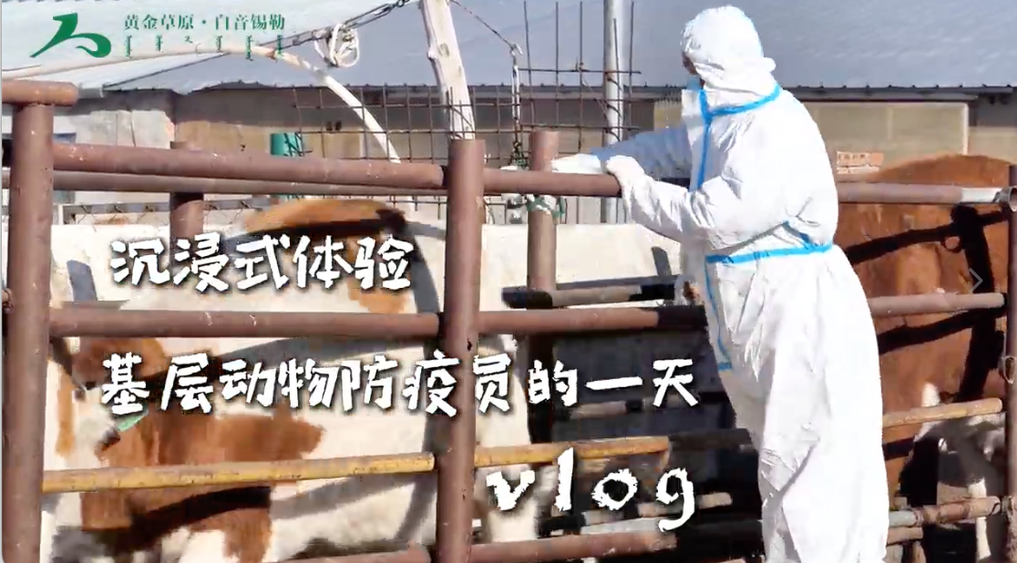 沉浸式体验 基层动物防疫员的一天