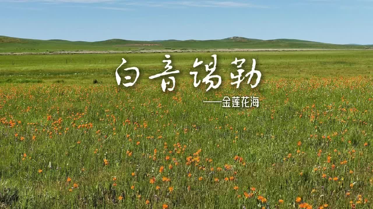 白音锡勒—金莲花海