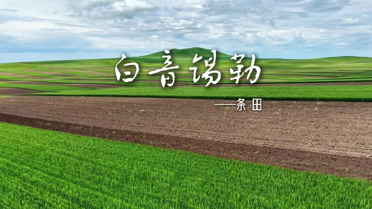 白音锡勒—条田