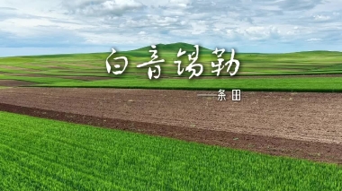 白音锡勒—条田